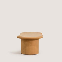 Write an Modern Natural Coffee Table