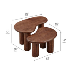 Mango Wood Nesting Coffee Table Set in Black