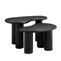 Mango Wood Nesting Coffee Table Set in Black
