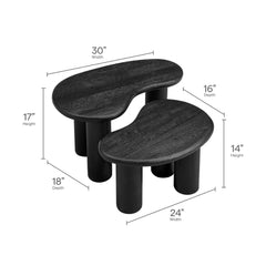 Mango Wood Nesting Coffee Table Set in Black