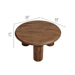 Tatvaacasa Round Mango Wood Coffee Table in Black