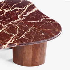 Noto Wooden Coffee Table with Brown Marble Top for Living Room