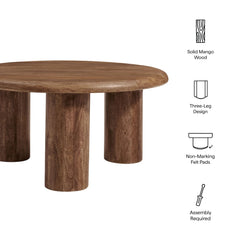 Tatvaacasa Round Mango Wood Coffee Table in Black