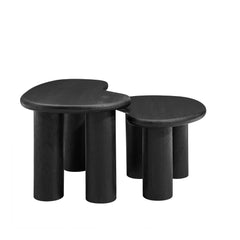 Mango Wood Nesting Coffee Table Set in Black