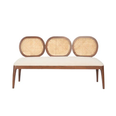 Modern Cane Bench