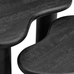 Mango Wood Nesting Coffee Table Set in Black