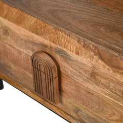 Modern Wooden Media Table