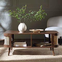 Regal Curved Rattan 2-Door Table, Natural