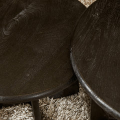 Tatvaacasa Coffee Table Black – Set of 2 (Solid Wood)