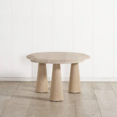 Ovel Modern Natural Coffee Table