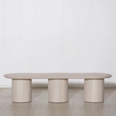 Write an Modern Natural Coffee Table