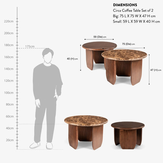 Tatvaacasa Coffee Table Set of 2